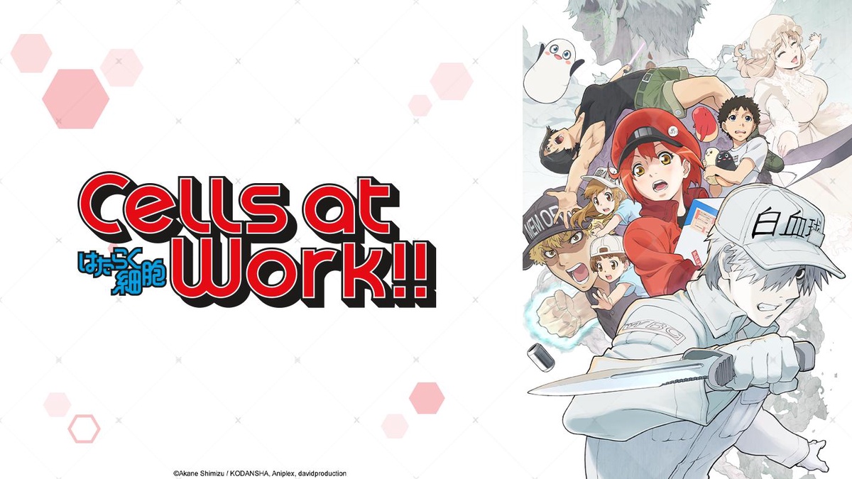 Cells at Work! en Español (Castellano) - Crunchyroll