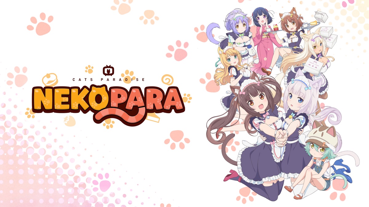 Nekopara en Español (Castellano) - Crunchyroll