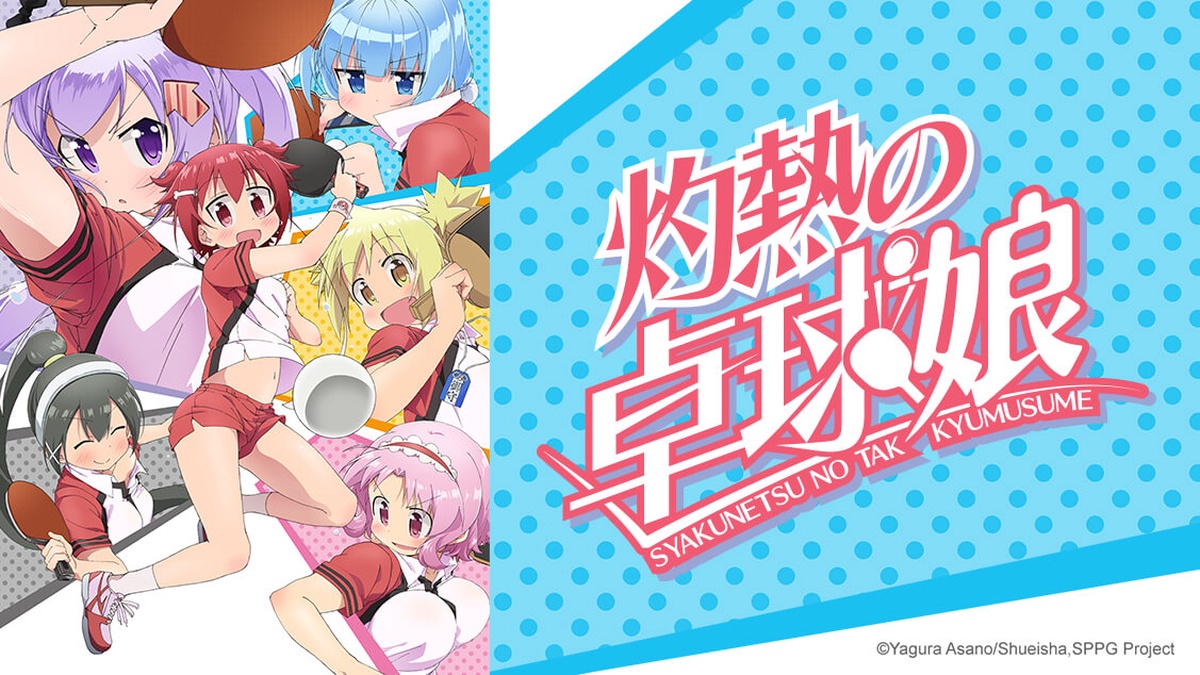 Scorching Ping Pong Girls (Shakunetsu no Takkyuu Musume) en Español (Castellano) - Crunchyroll