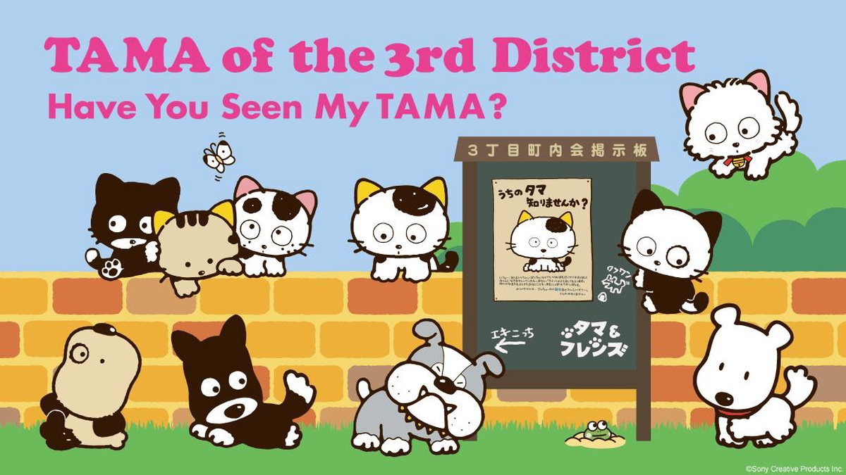 TAMA of the 3rd District -Have You Seen My TAMA? en Español (Castellano) - Crunchyroll