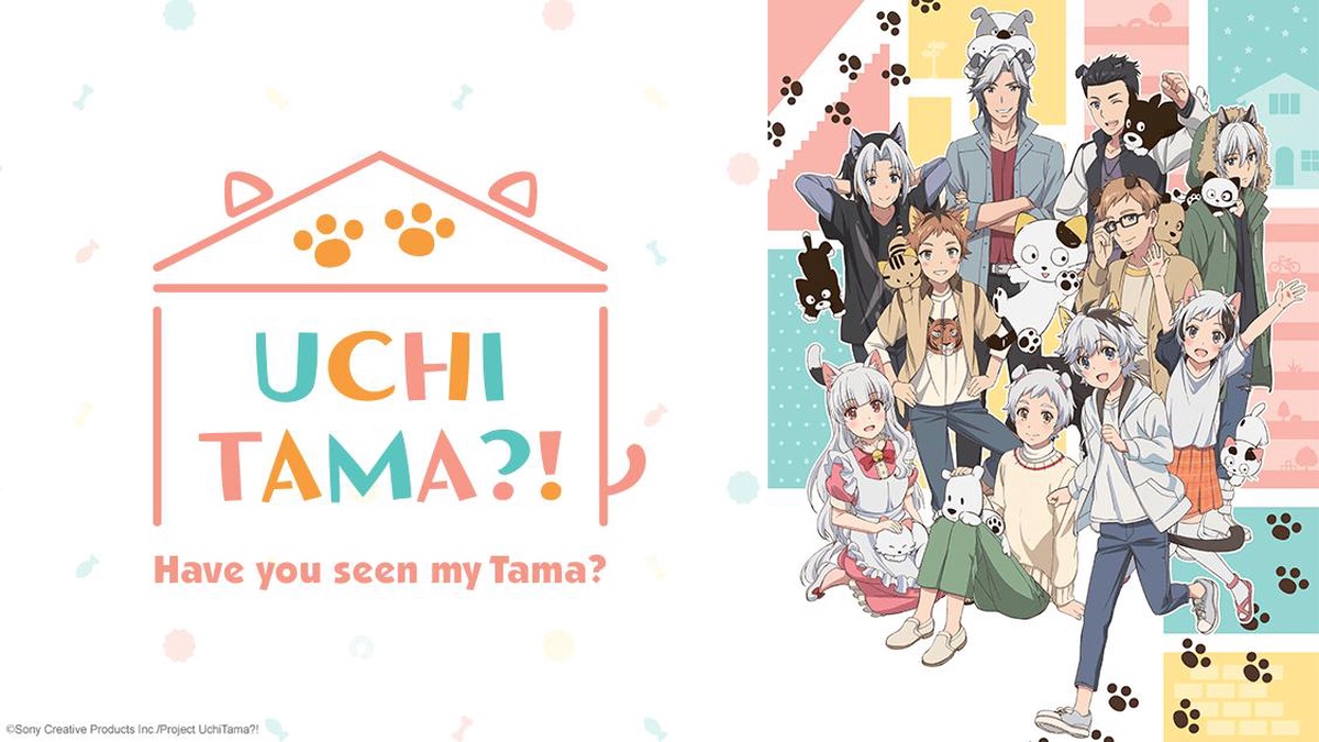 Uchitama?! Have you seen my Tama? en Español (Castellano) - Crunchyroll